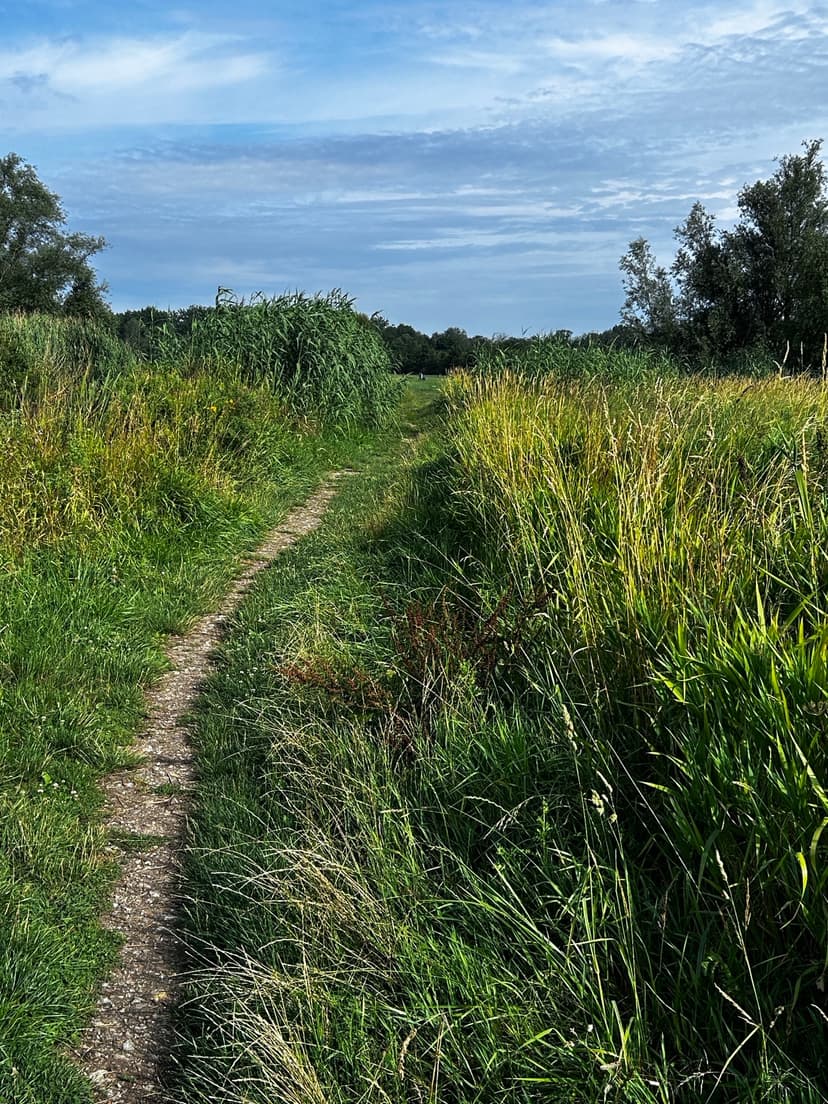 Second image for Walk & Connect