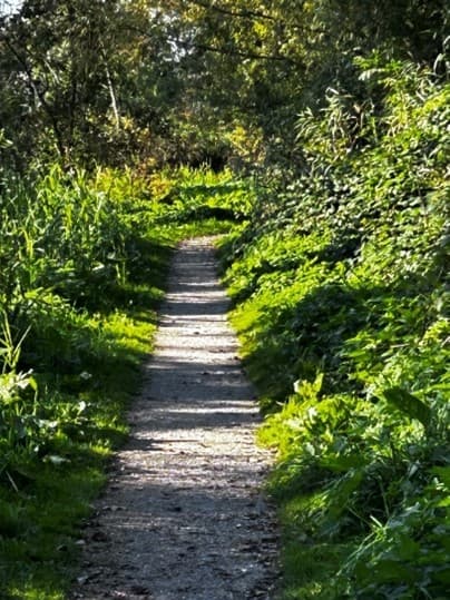 Walk & Connect