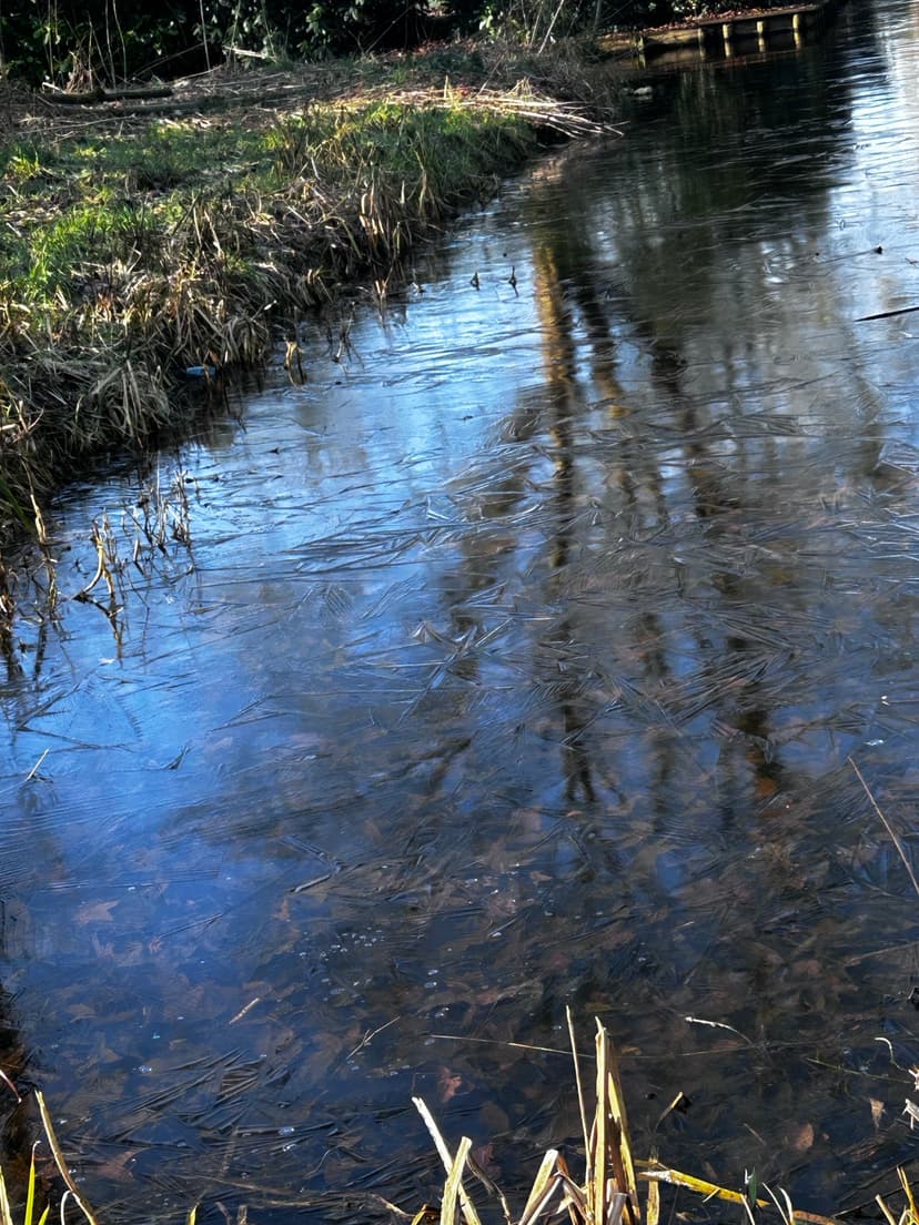 Walk & Connect